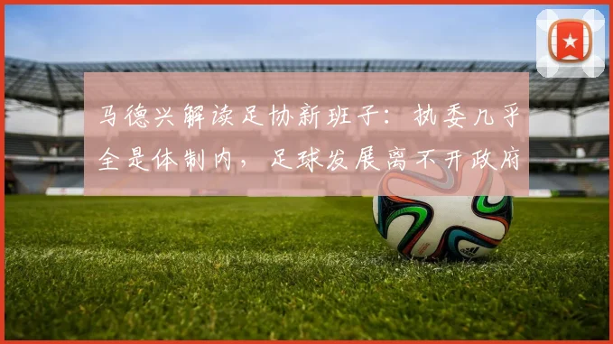 马德兴解读足协新班子：执委几乎全是体制内，足球发展离不开政府